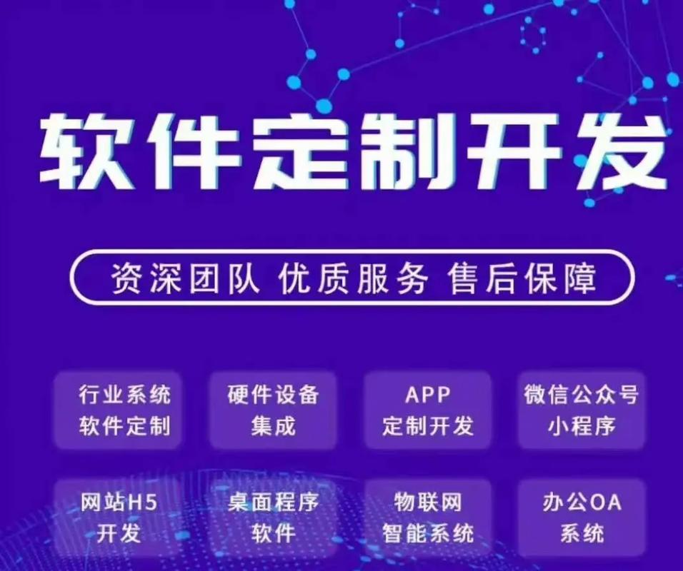 软件定制服务